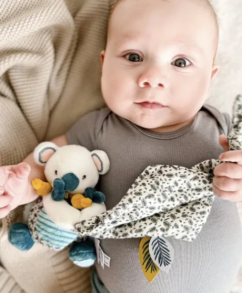 Doudou et Compagnie Coffret peluche Koala Yoca avec Doudou - 15 cm> Doudou Mouchoir|Peluche Avec Doudou