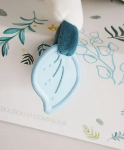 Doudou et Compagnie Coffret peluche d'activités Yoca le koala et son bébé - 25 cm