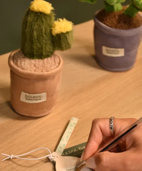 Doudou et Compagnie Peluche fleur - 9 cm - Botanique - Cactus Vert