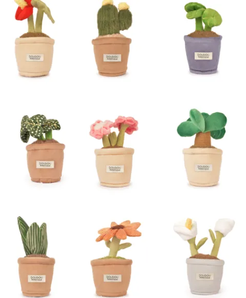 Doudou et Compagnie Peluche fleur - 9 cm - Botanique - Cactus Vert