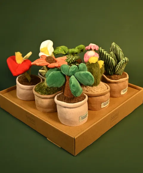 Doudou et Compagnie Peluche fleur - 9 cm - Botanique - Cactus Vert