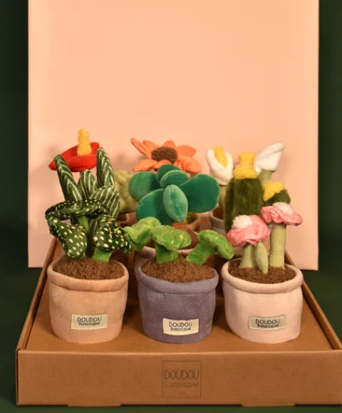Doudou et Compagnie Peluche fleur - 9 cm - Botanique - Cactus Vert