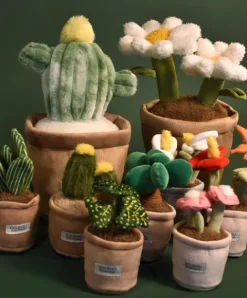 Doudou et Compagnie Peluche fleur- Cactus vert 25 cm